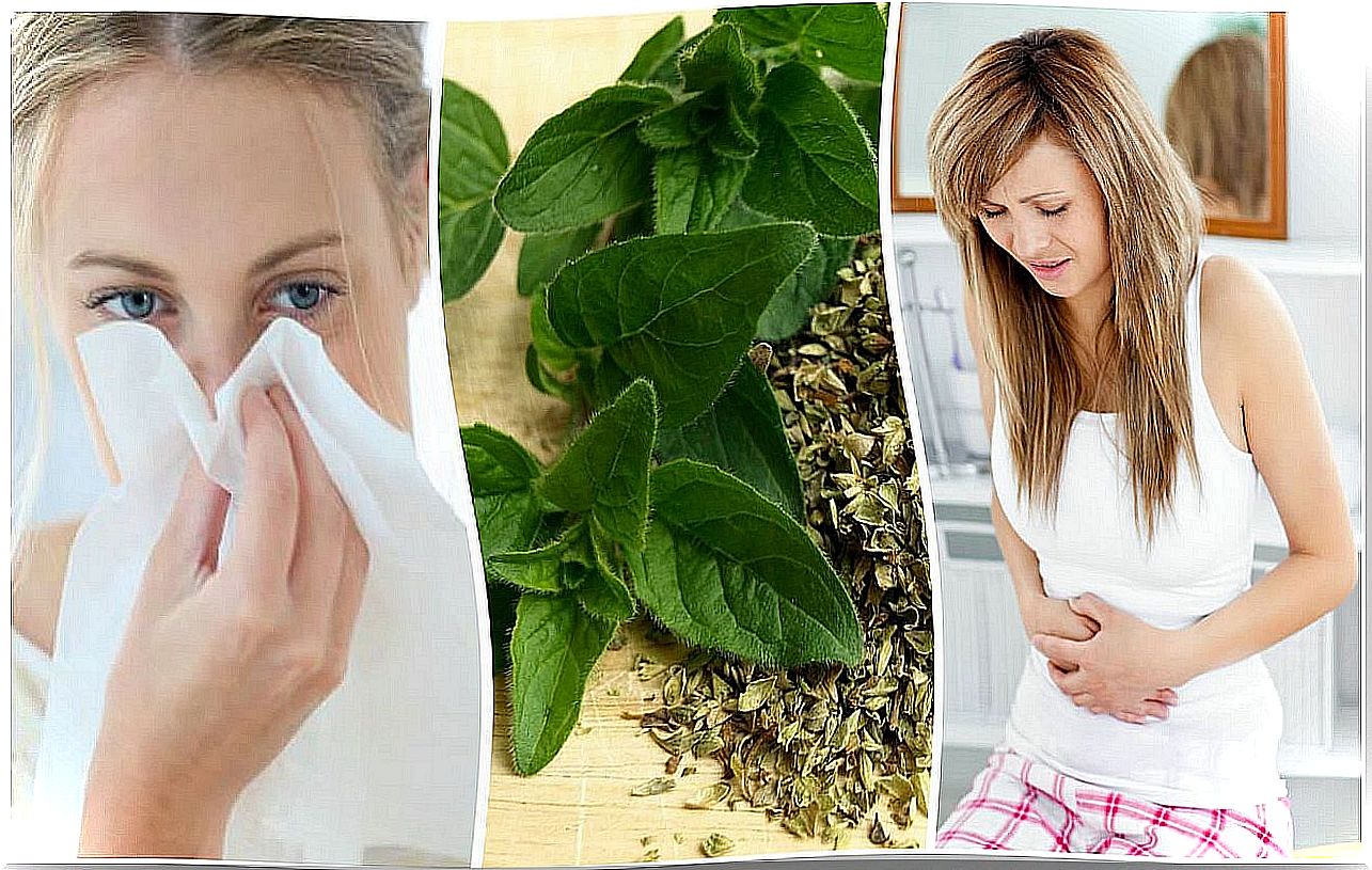 10 interesting health benefits of oregano