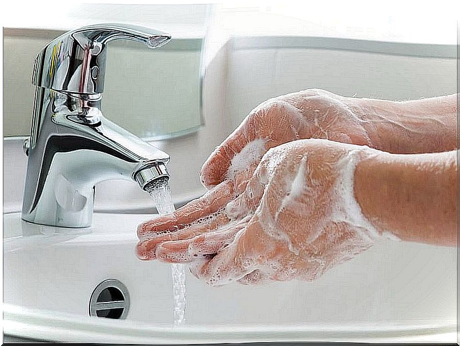 wash hands