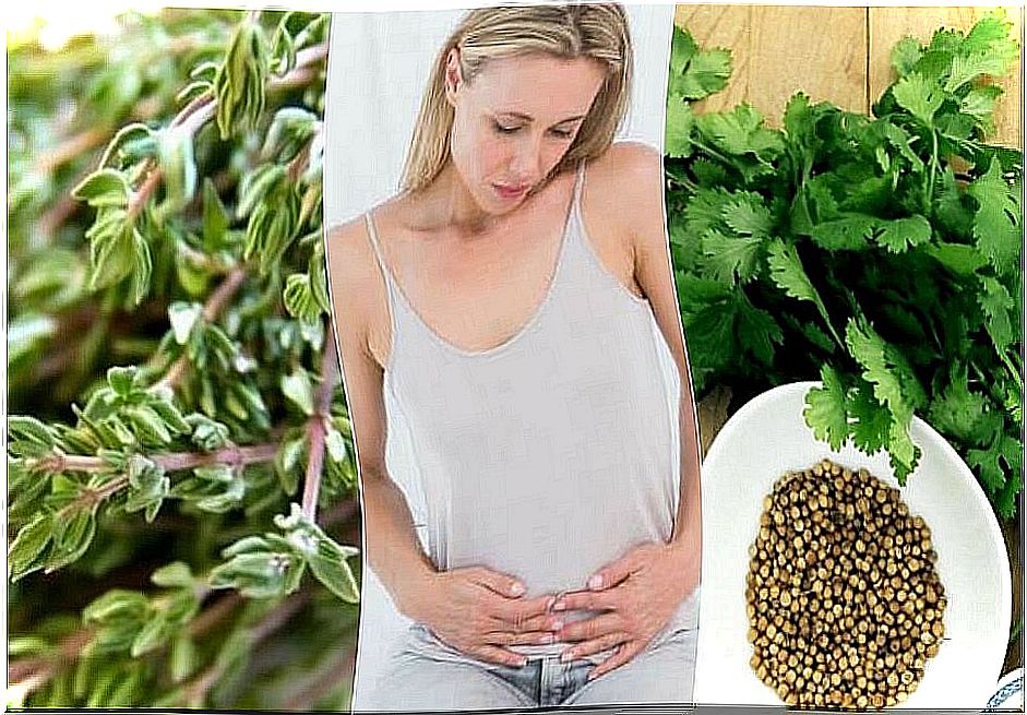 6 carminative herbs that help you eliminate gas