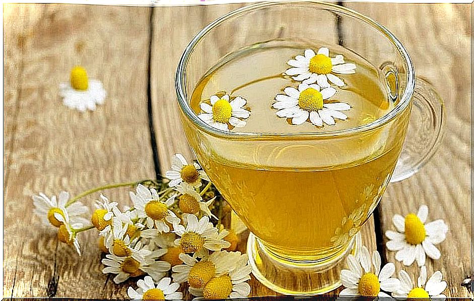 tea-and-chamomile-flowers