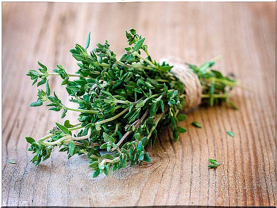 thyme