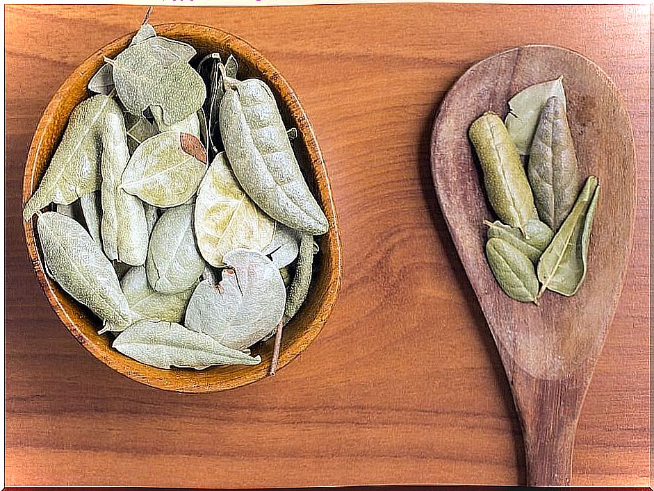 Brazilian Boldo Leaves into a bowl over a wooden table