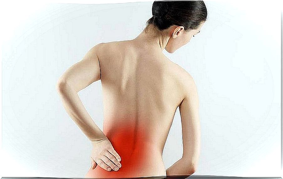 Low back pain may be due to osteoarthritis.