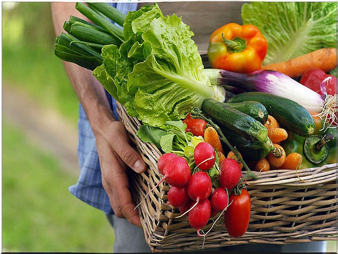 Basket with vegetables.