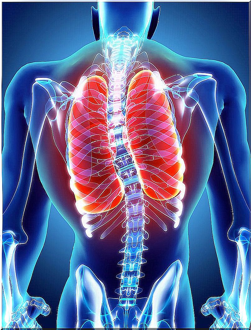 atelectasis airways lungs