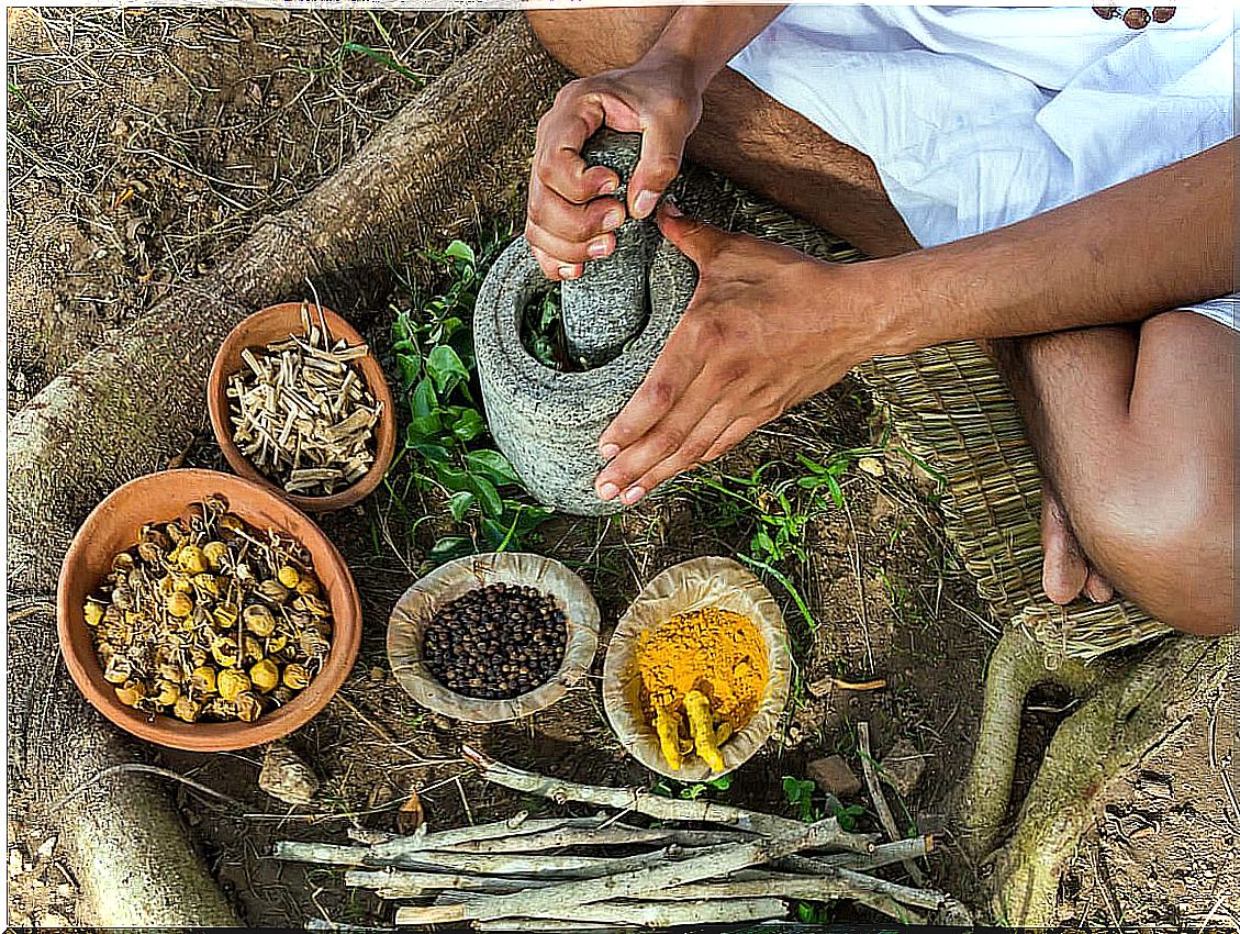 Ayurveda medicine.