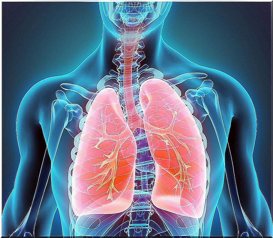 Bronchopulmonary sequestration is a structural alteration that affects the respiratory system.