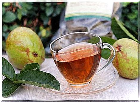 Guava tea cup.