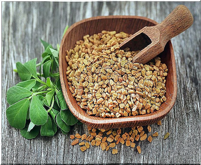 Bowl with fenugreek seeds.