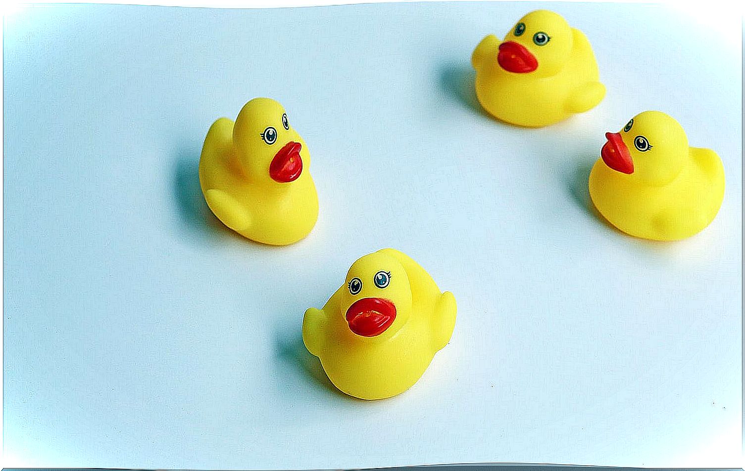 Rubber ducks for the bathroom.