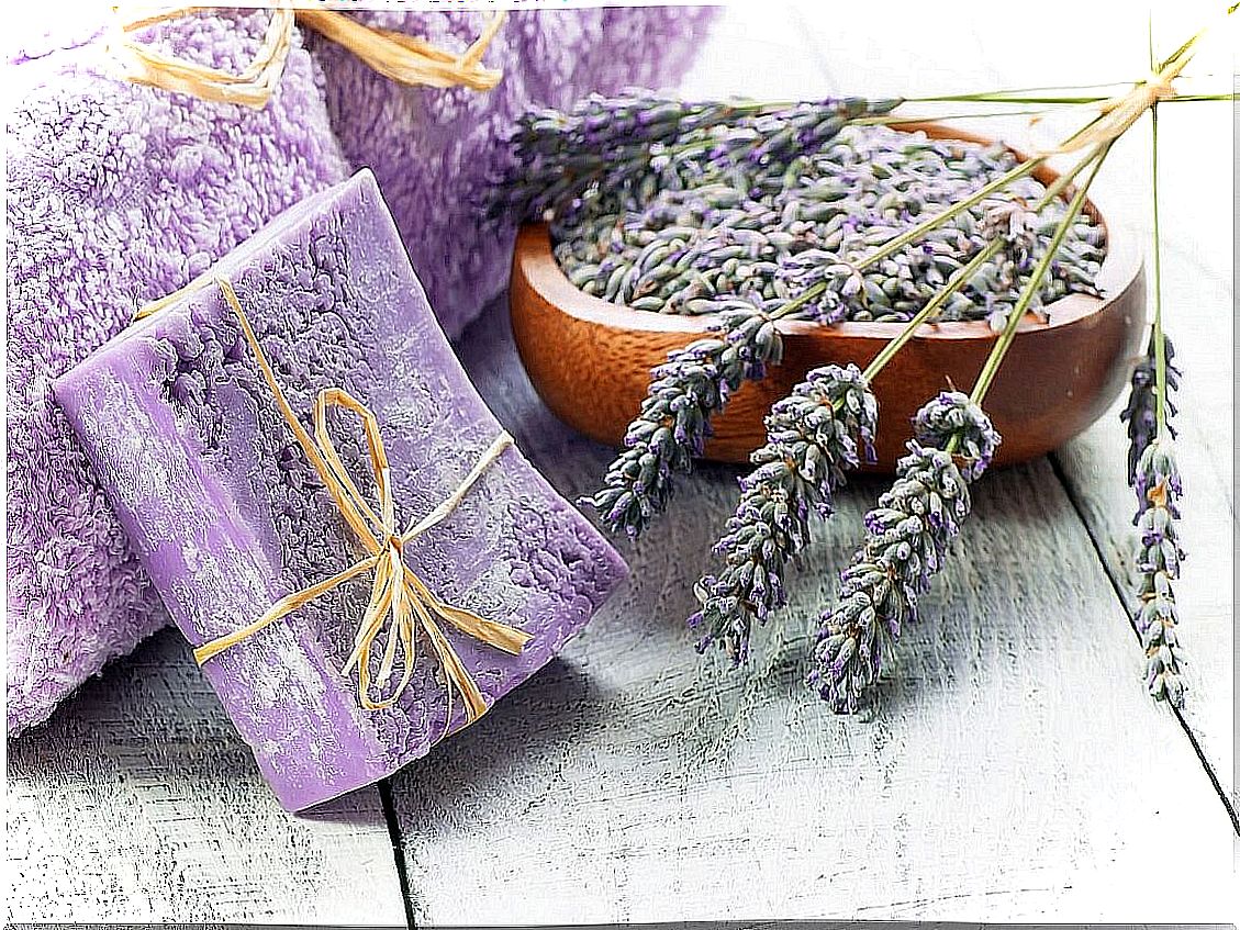 How to make homemade lavender soap