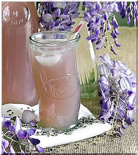 lavender for headache