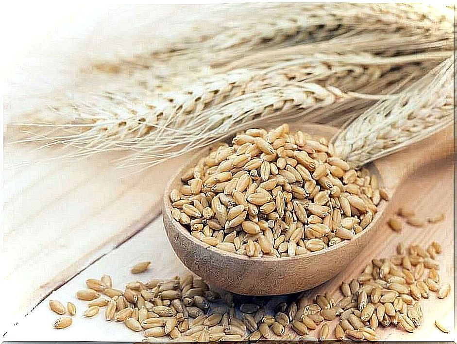 How to prepare a barley remedy against high cholesterol