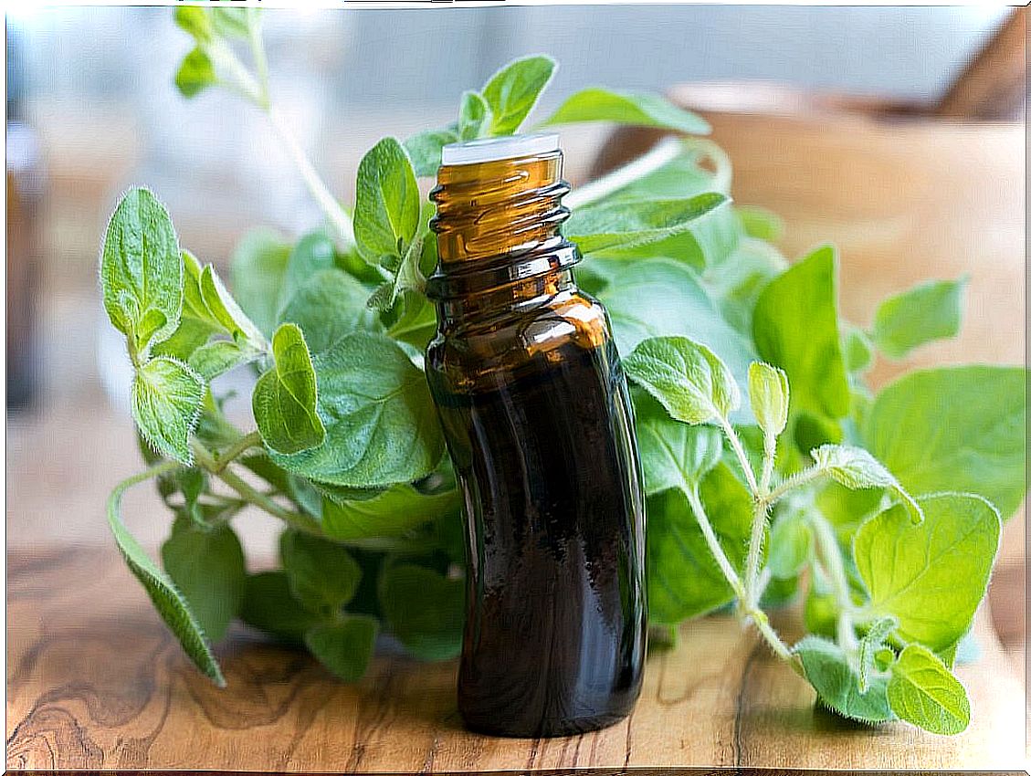 Oregano essential oil.