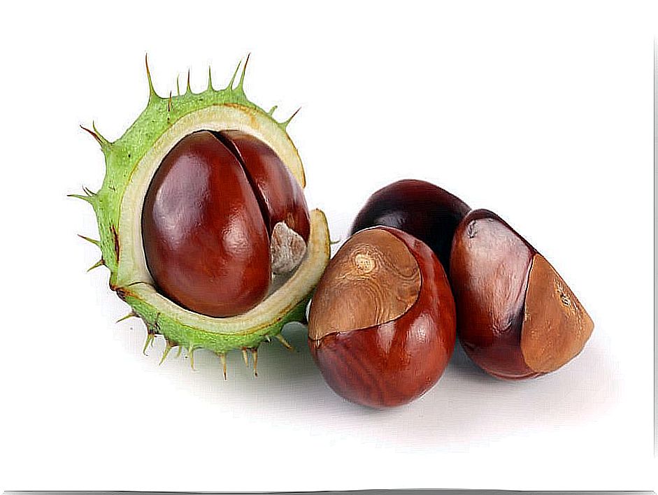 How to prepare horse chestnut infusion for diarrhea