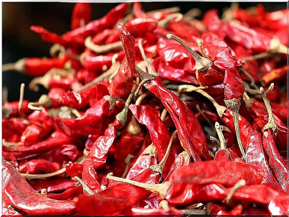 Dried Red Chillies At Johdpur Market