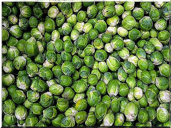 Brussels sprouts for healthy weight loss