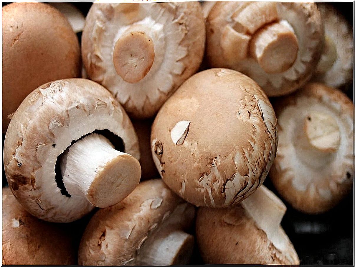 Mushrooms to use in the microwave.