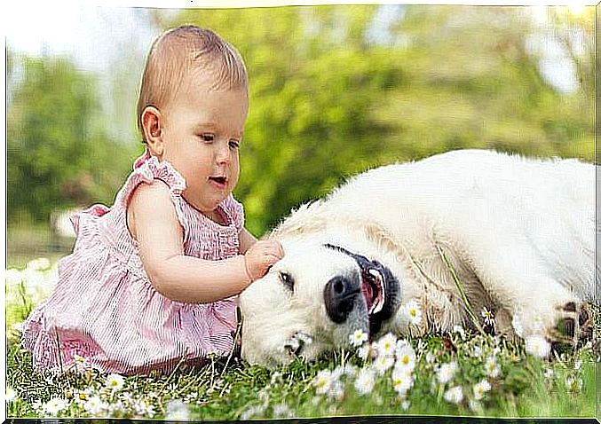 Baby playing with a dog in the grass