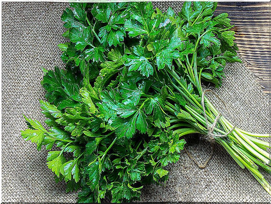 Parsley can be an ingredient to make healthy juices.