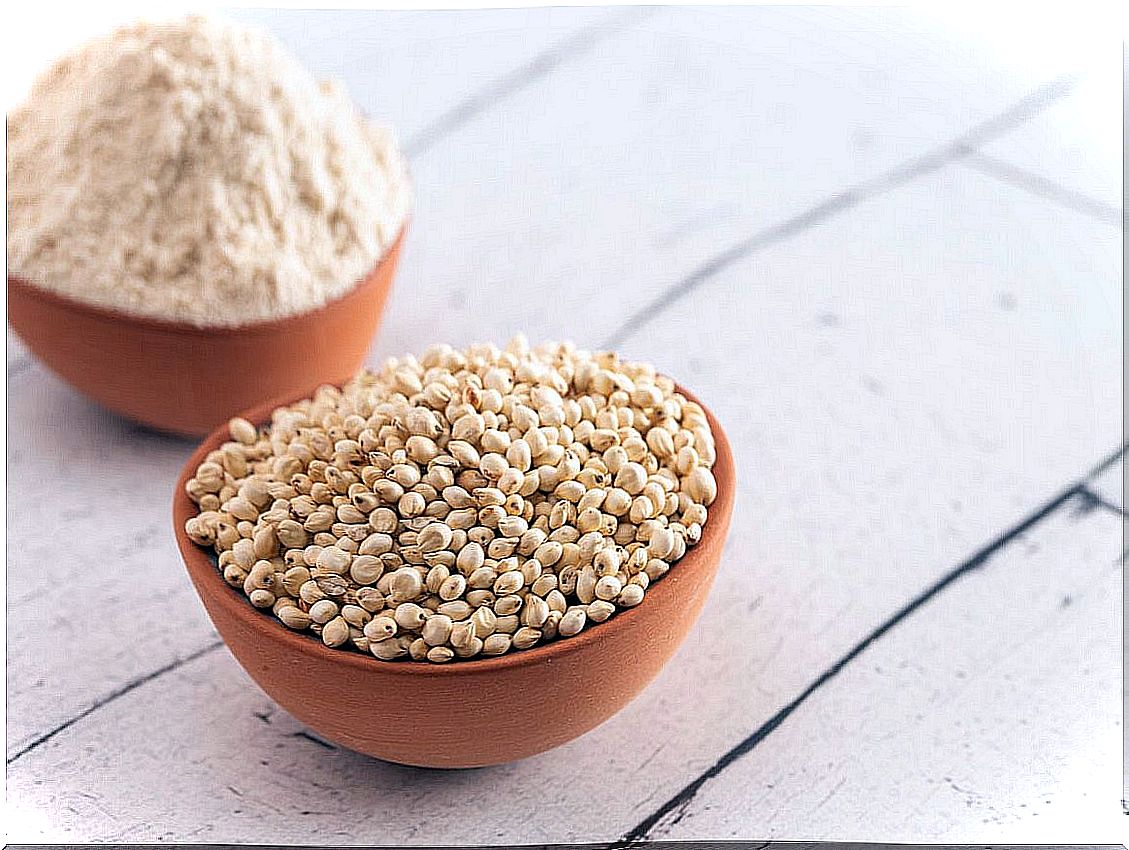 Sorghum in human food in the form of flour.